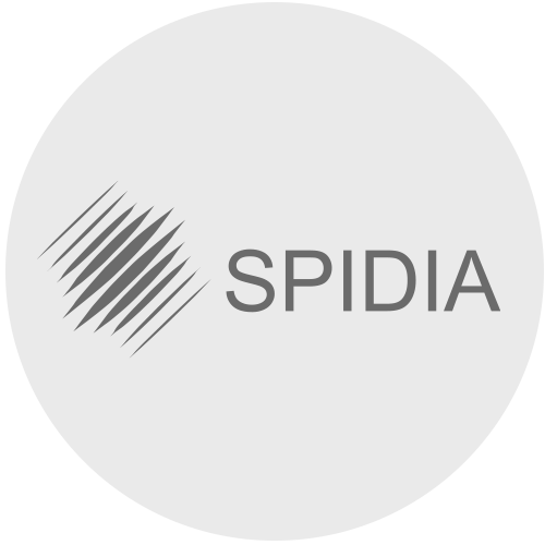 Logo oder Eyecatcher von: SPIDIA
