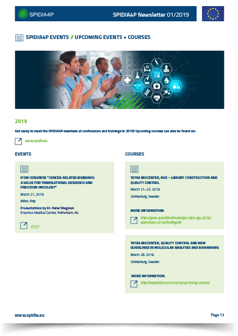 Entwurf Newsletter Template Entwurf Newsletter Template